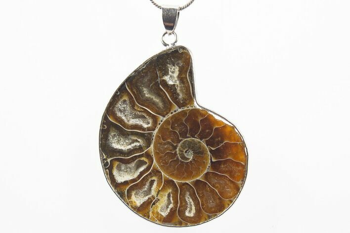 Fossil Ammonite Pendant - Million Years Old #306455